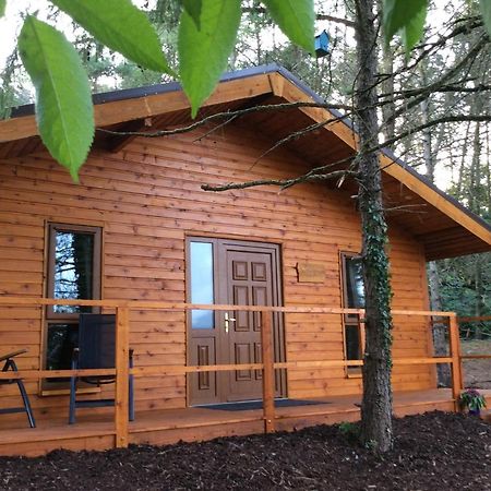 Butterfly Cabin Лимерик Экстерьер фото