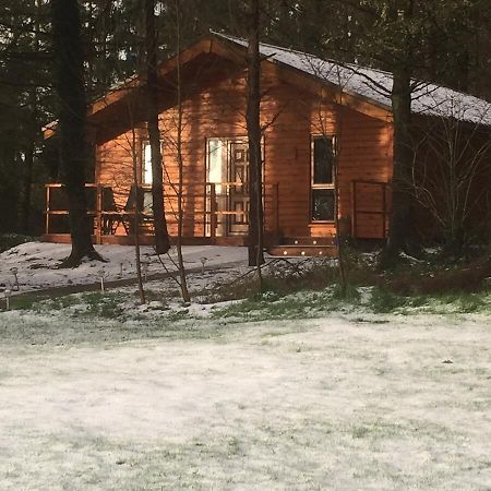 Butterfly Cabin Лимерик Экстерьер фото