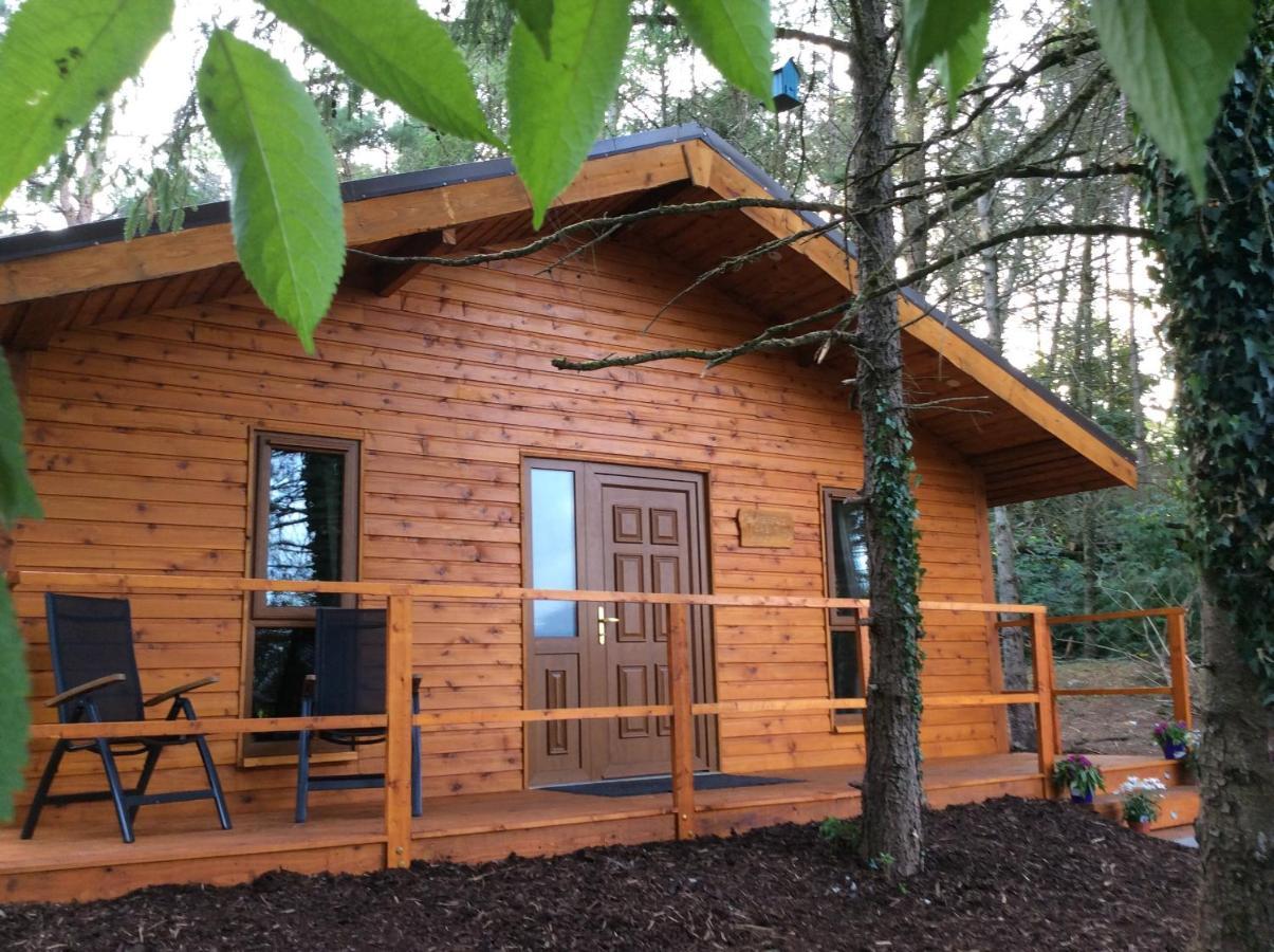 Butterfly Cabin Лимерик Экстерьер фото