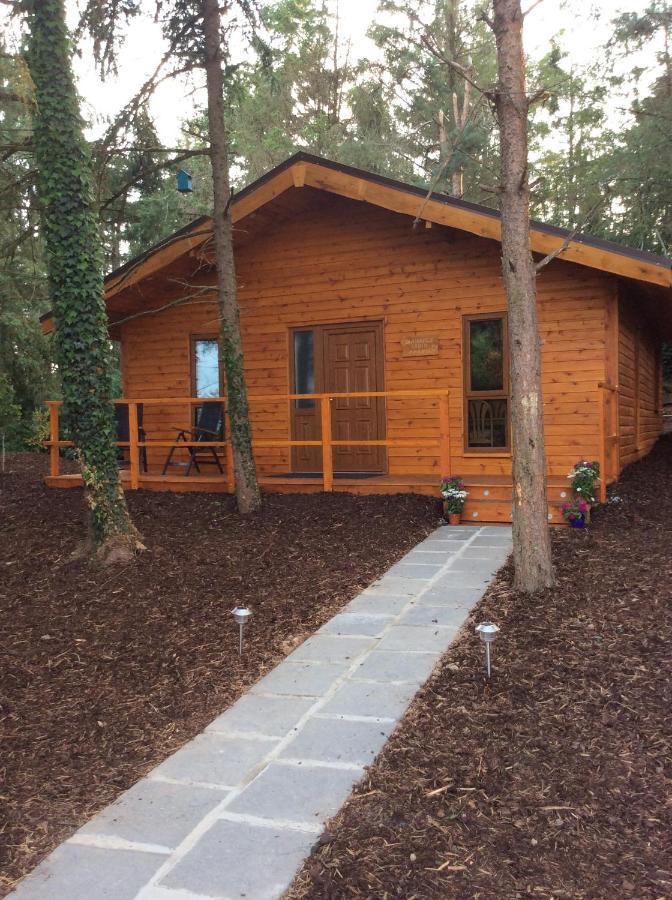 Butterfly Cabin Лимерик Экстерьер фото