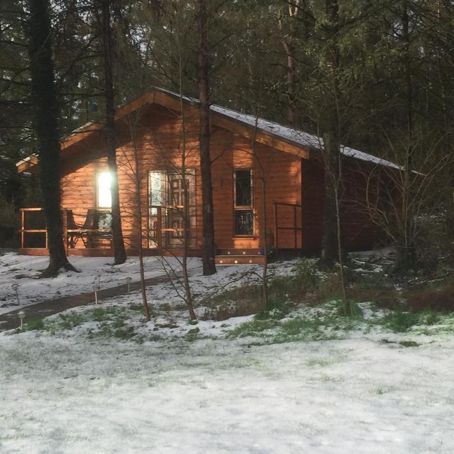 Butterfly Cabin Лимерик Экстерьер фото